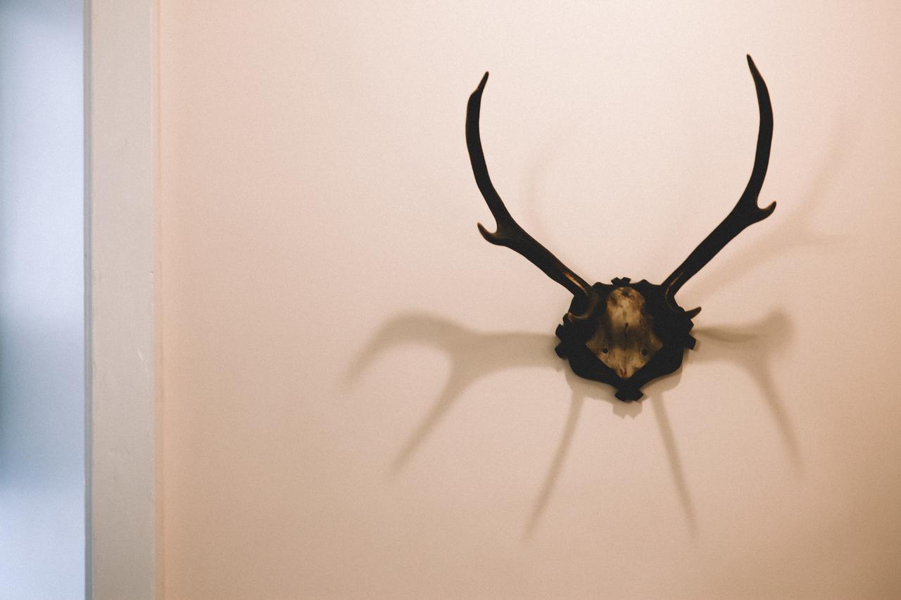 Hotel The Stag At Stow Extérieur photo